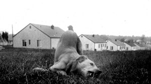 The house in the 1950s Backyard